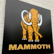 76924457_2656585851068566_1222699025061380096_n